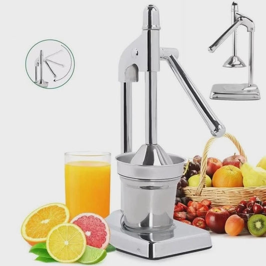 Fruit Juicer